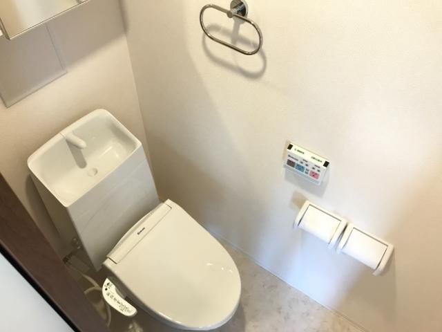 トイレ アイルトンハウス その他3