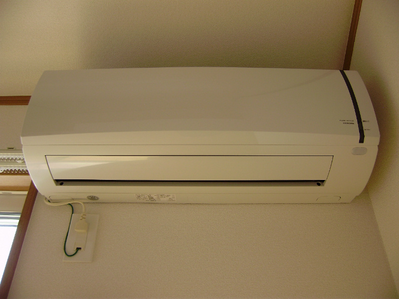 アンジェリカⅡ その他1