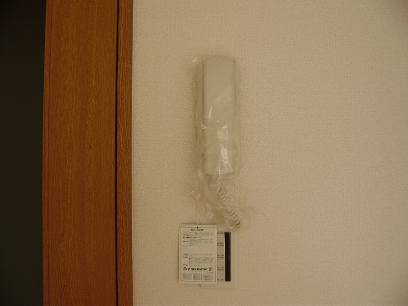 アンジェリカⅡ その他4