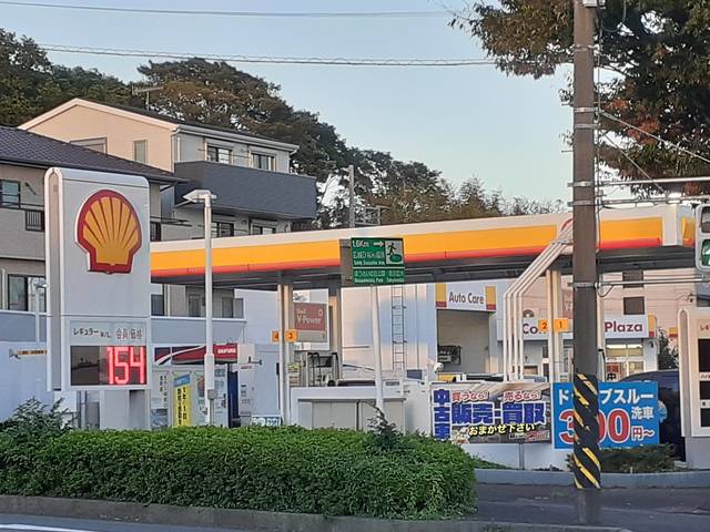 昭和シェルまで649m ビバリーヒルズ その他外観5