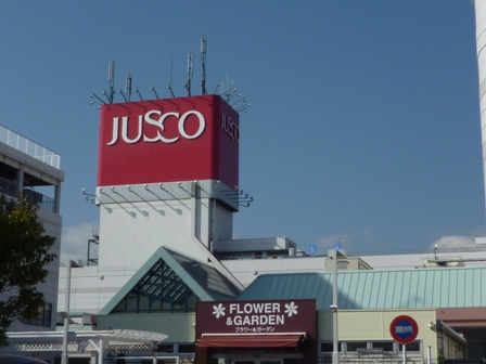 ラピスラズリ その他外観4