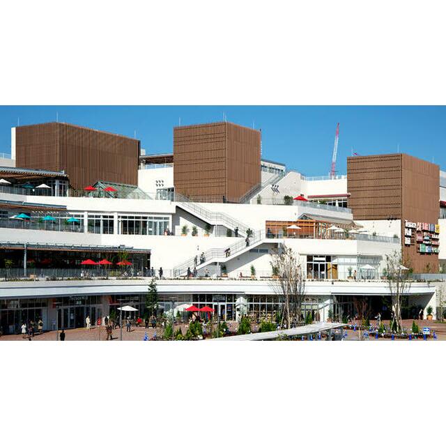 テラスモール湘南 サン・フォレットA 周辺画像7