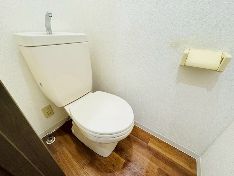 トイレ メタセコイヤ その他2