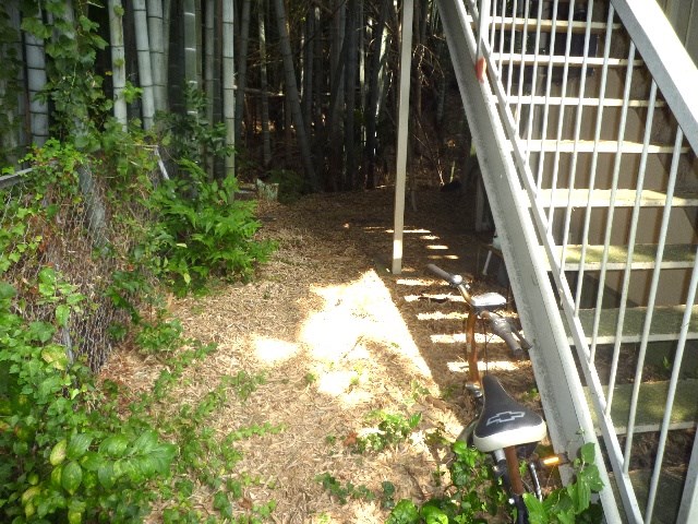 今井ハイツＤ棟 その他外観1