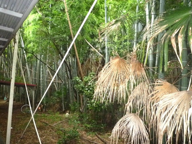 今井ハイツＤ棟 その他外観3