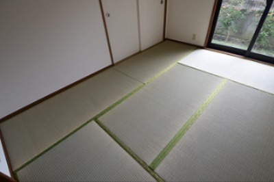 コンフォート  その他6