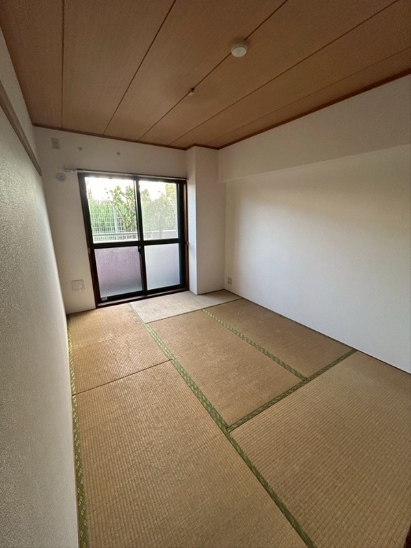 フェリースいずみ中央 その他6