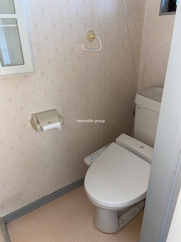 トイレ サンハイツ厚木 その他外観2