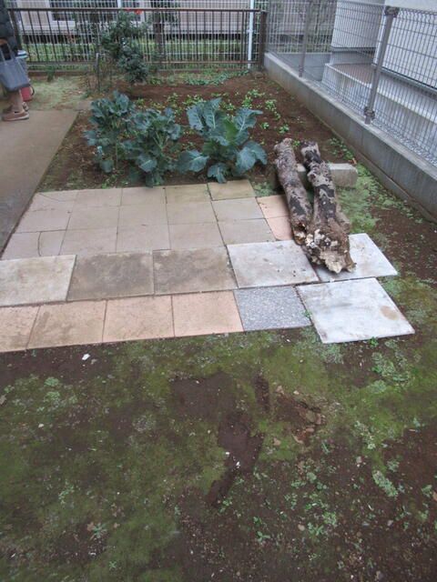 ベランダ モンブラン ベランダ