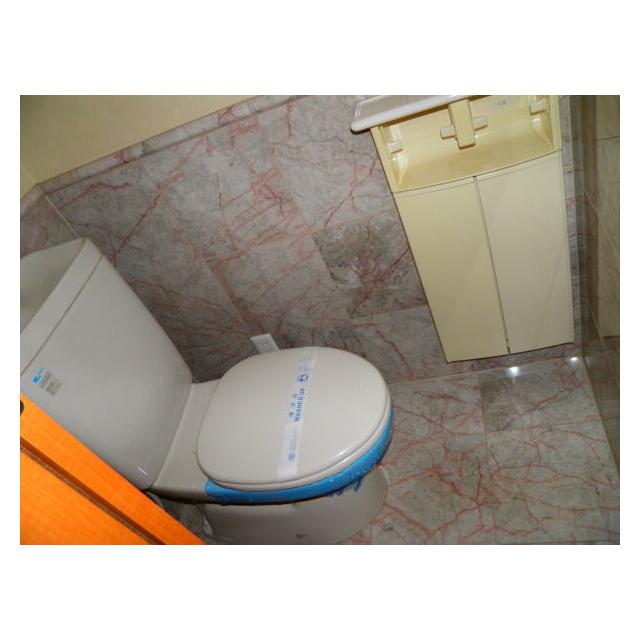 セルシアーナ その他1