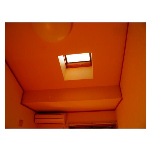 セルシアーナ その他7