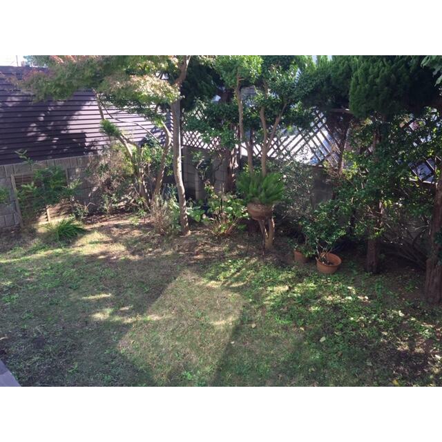 東海岸南４丁目戸建て その他外観1