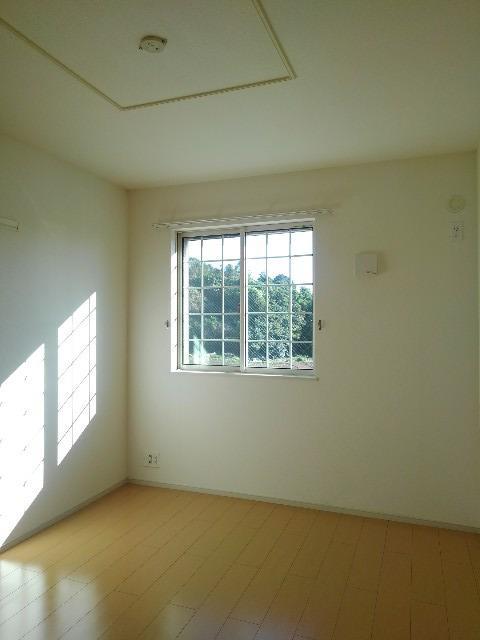 ユーチャリス　Ⅱ その他1