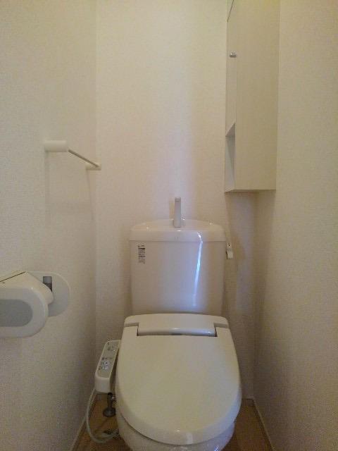 ユーチャリス　Ⅱ その他4