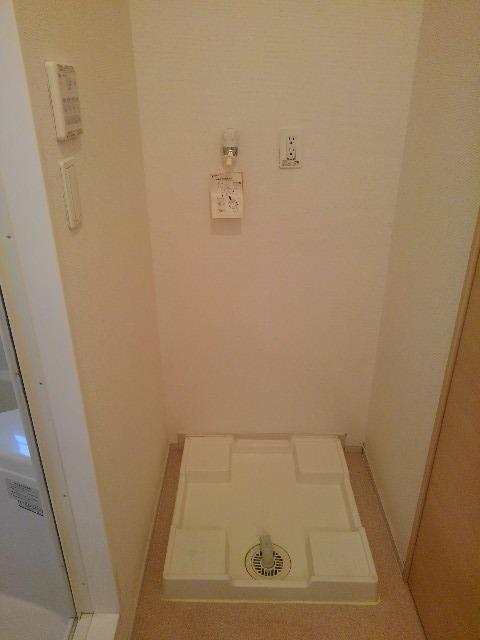 ユーチャリス　Ⅱ その他5