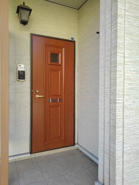 ユーチャリス　Ⅱ その他7