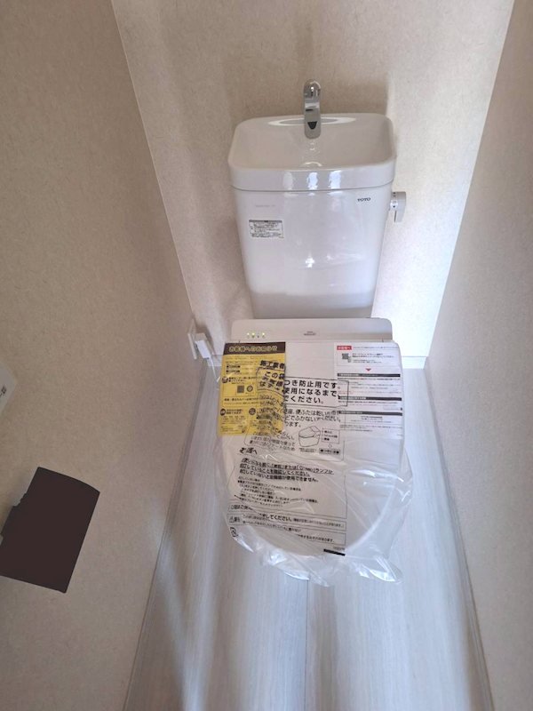 春めきⅠ その他1