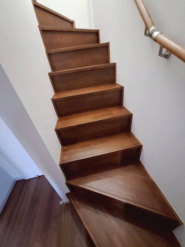 春めきⅡ その他16