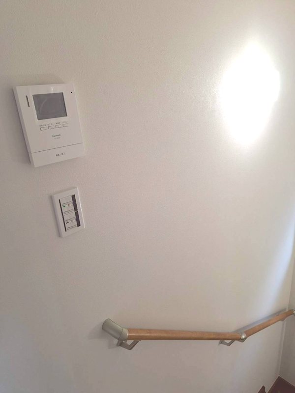 春めきⅡ その他17