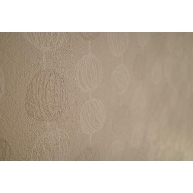 ＮＹハイツ１ その他9