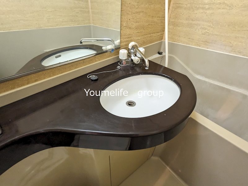 ワコーレエレガンスさがみ野第1 その他2