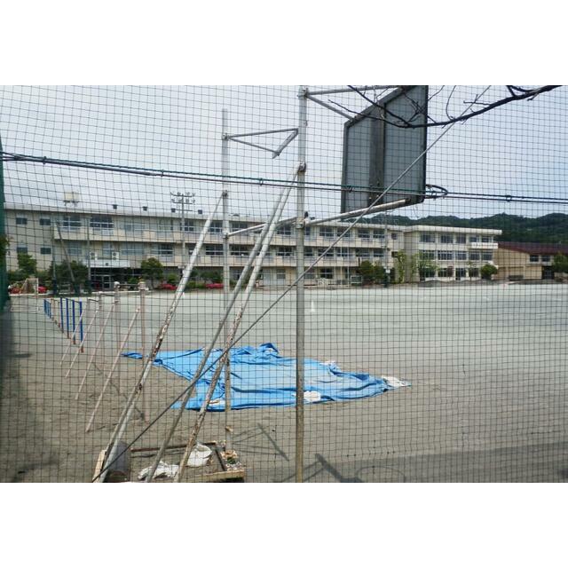 ロイヤルマンション国府津 小学校