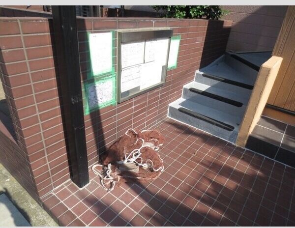 ABLE HIRATSUKA その他外観3