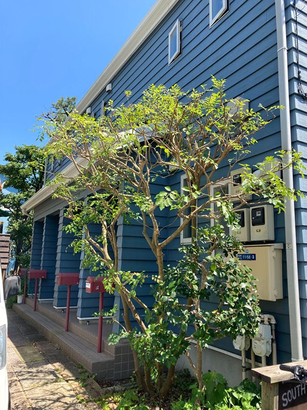 サウスコーストⅡ その他外観1