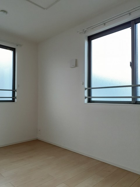 ステラ その他1