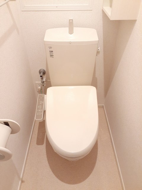 ステラ その他4