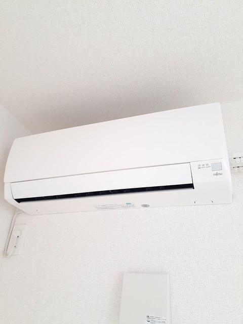 ステラ その他5