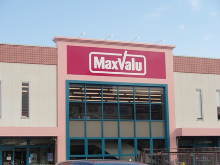 てらす　はに その他18