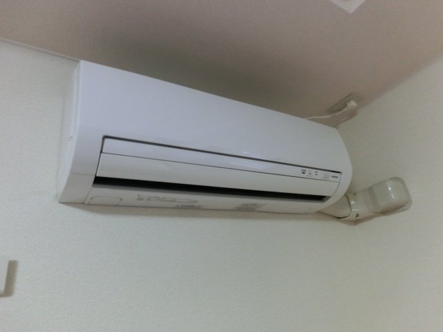 プチ・オリーブ その他18