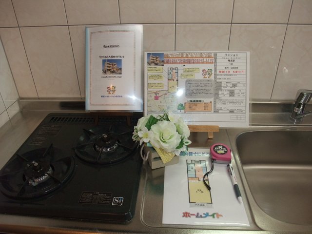 ローザ　オノモン その他13