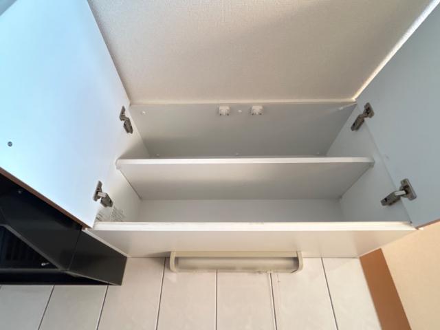 スプリングウィンド その他9