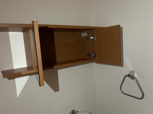 スプリングウィンド その他16