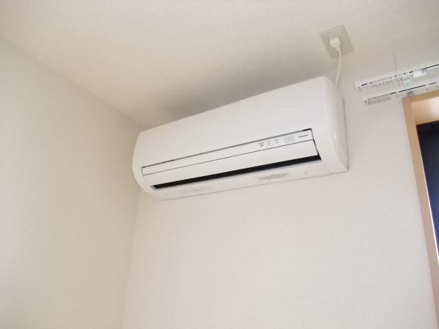 ラベンダーリブ その他3