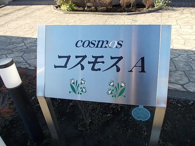 コスモスＡ その他1