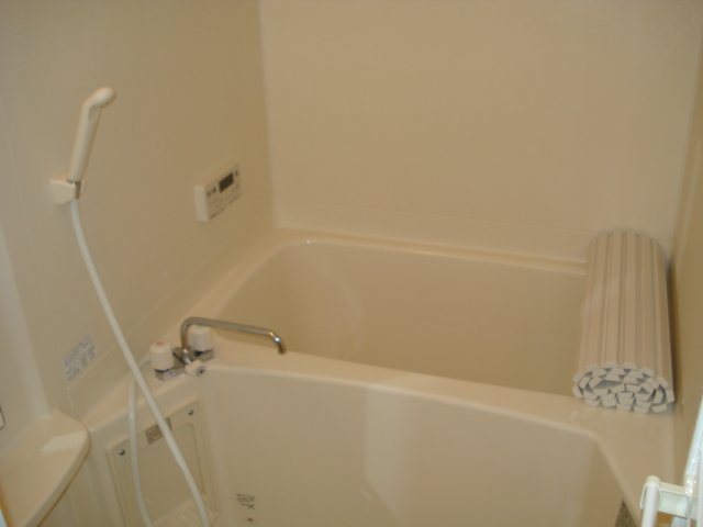 ＳｏｕｔｈＳｐｒｉｎｇ湘南 風呂画像