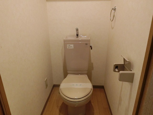 エヴァーグリーン・ラピス その他1