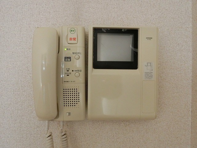 エヴァーグリーン・ラピス その他3