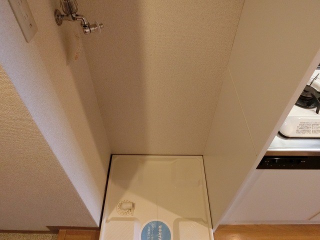 エヴァーグリーン・ラピス その他5