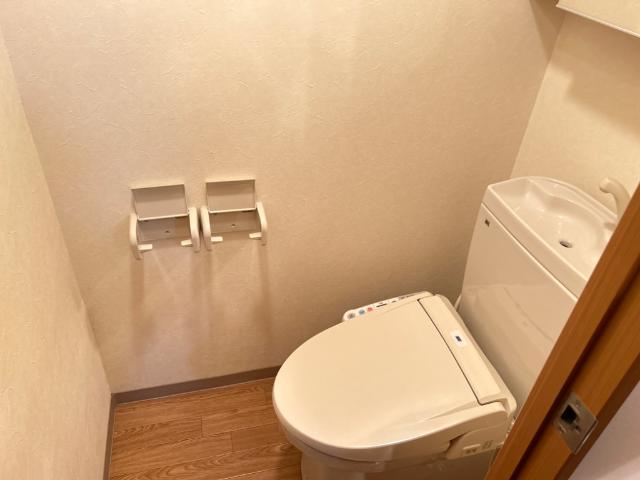 ＴＨ・ルミナス その他1