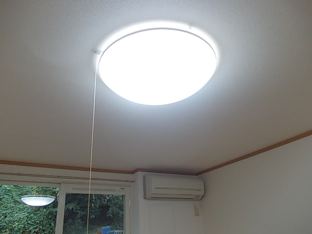 ペルレトゥルムＡ その他5