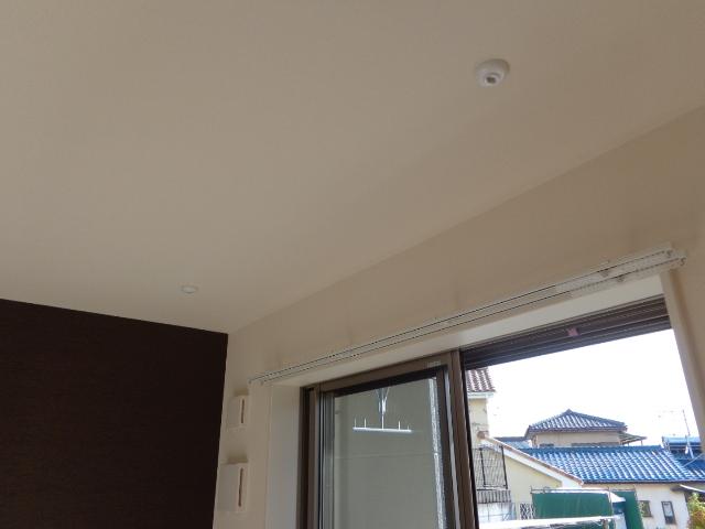 アルビレオ その他14