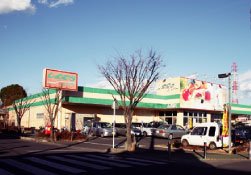 パーシモン その他外観3