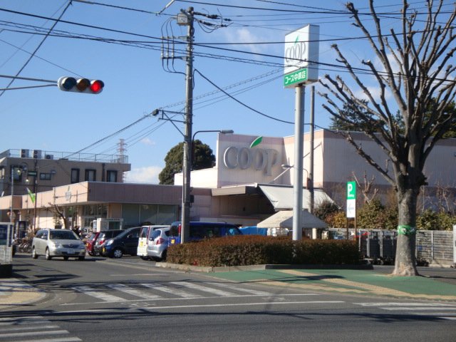 パーシモン その他外観5