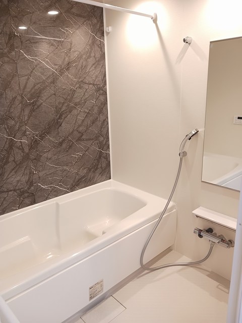 スプリングス・Ａ 風呂画像