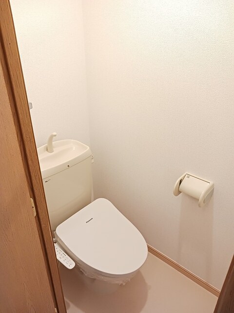 ミニヨンＡＮ その他4