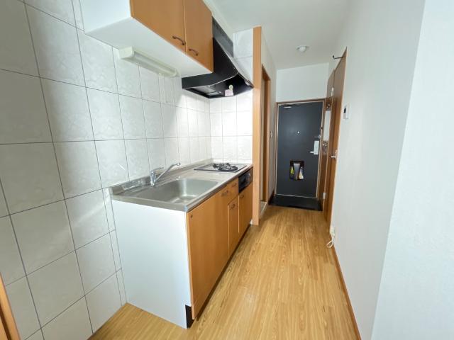 プレサスＳⅡ その他9